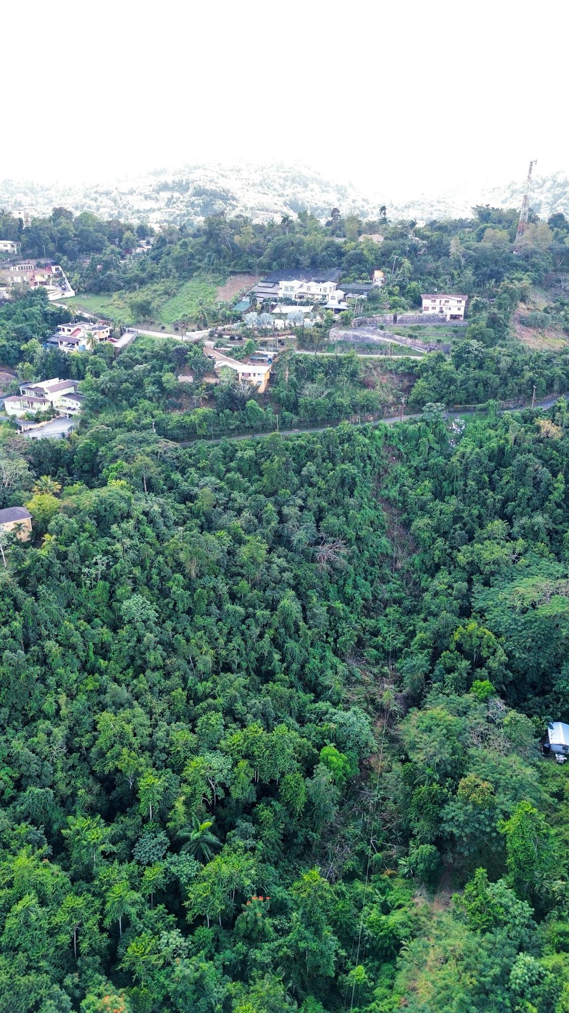 Stony-Hill-Heights-1.29-Acre-Residential-Development-Land-for-Sale Tenth image of 26 Stony Hill Heights in STONY HILL, St. Andrew, Jamaica - property is For Sale