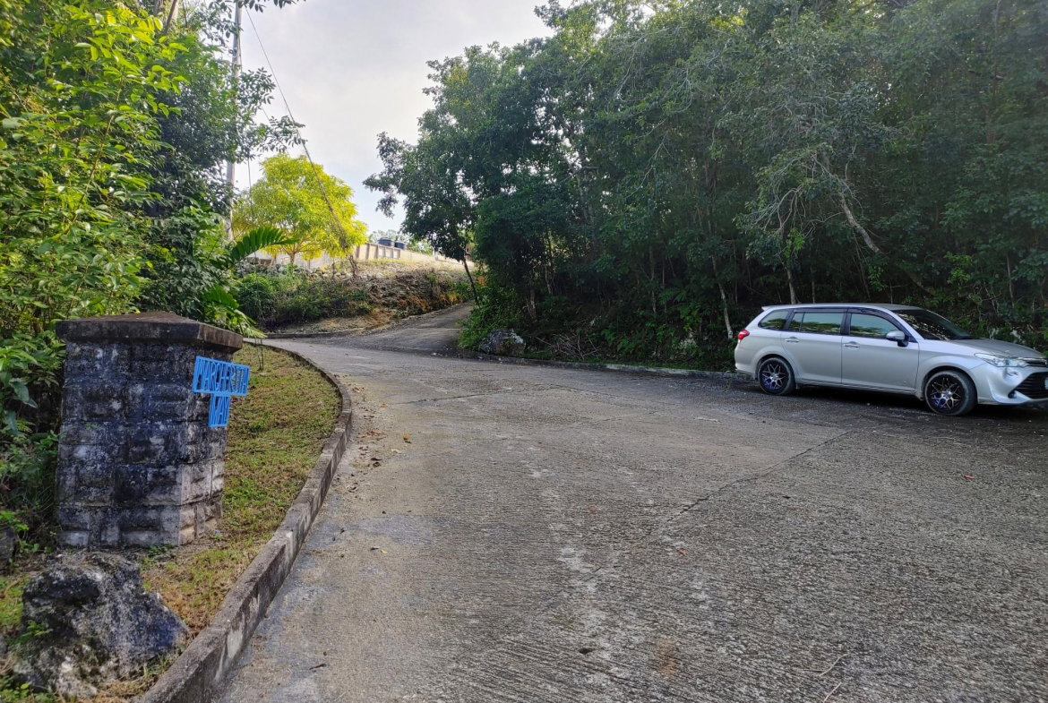 Second image of Lot 38 Unity Hall in Unity Hall, St. James, Jamaica - property is For Sale
