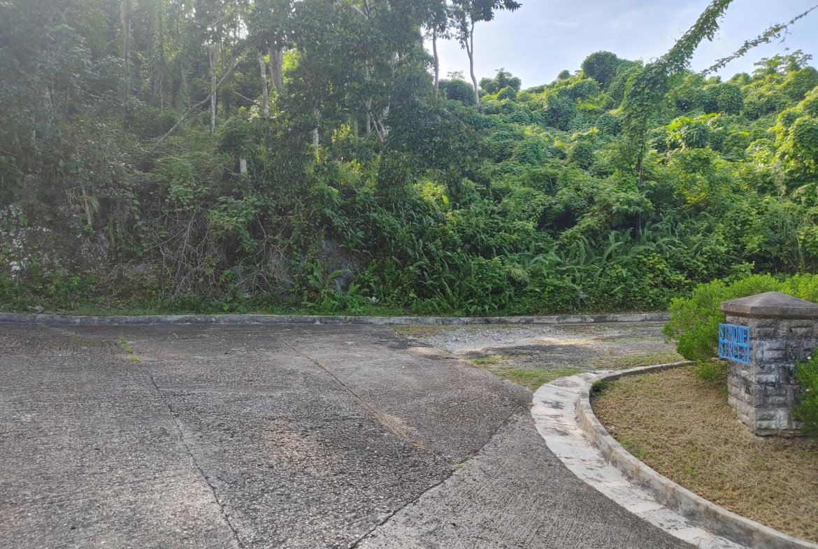Eleventh image of Lot 38 Unity Hall in Unity Hall, St. James, Jamaica - property is For Sale