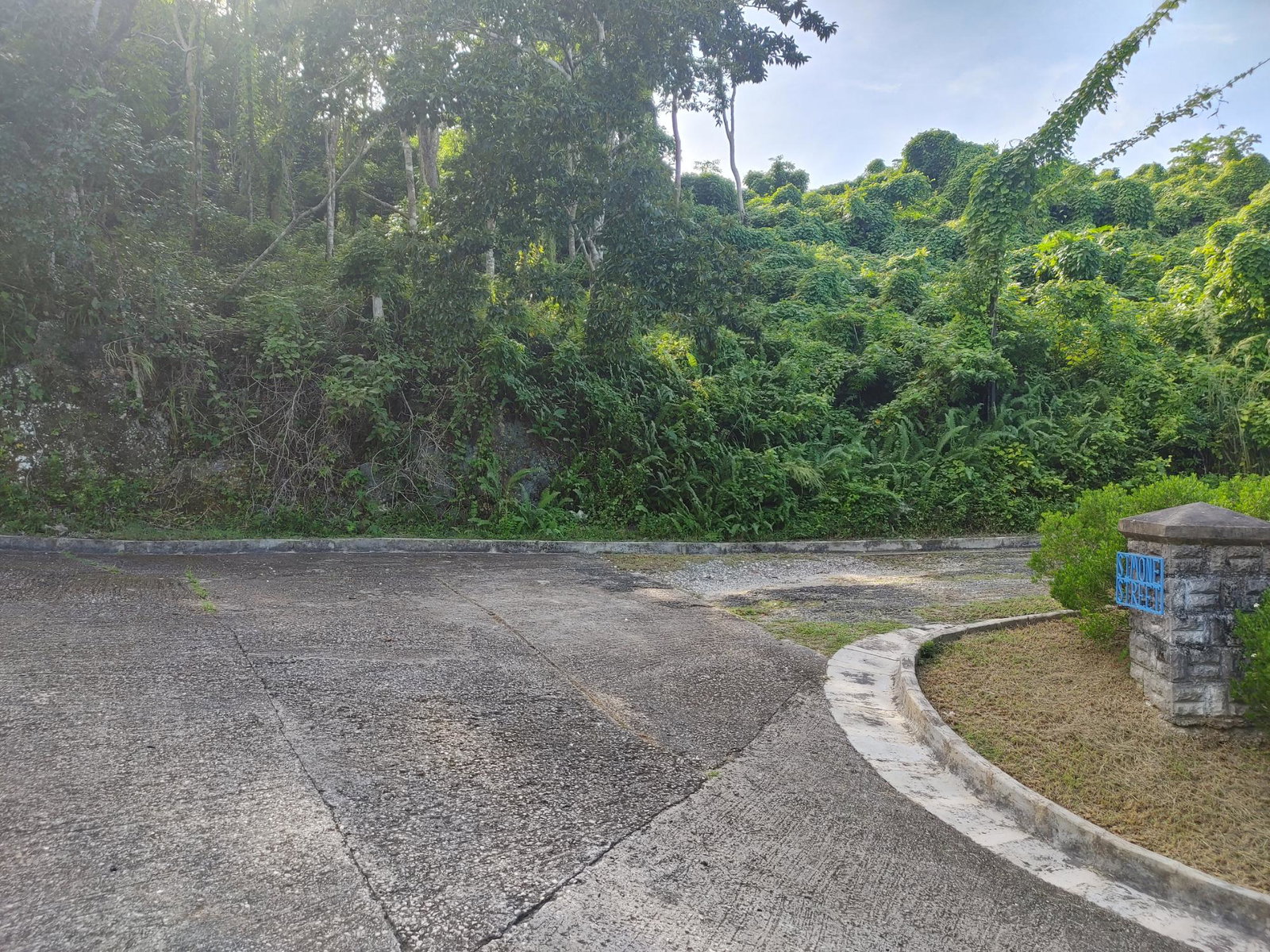 Stunning-0.7-Acre-Residential-Lot-for-Sale-in-Unity-Hall-Jamaica Eleventh image of Lot 38 Unity Hall in Unity Hall, St. James, Jamaica - property is For Sale
