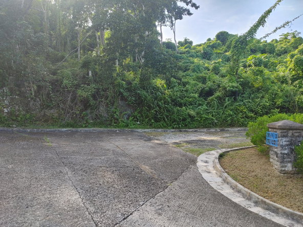 Eleventh image of Lot 38 Unity Hall in Unity Hall, St. James, Jamaica - property is For Sale