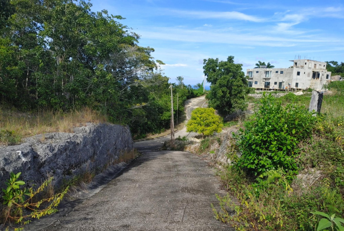 Twelfth image of Lot 38 Unity Hall in Unity Hall, St. James, Jamaica - property is For Sale