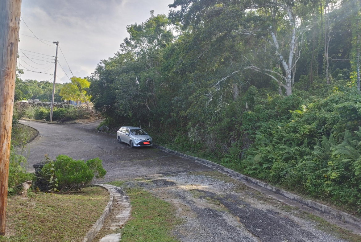 First image of Lot 38 Unity Hall in Unity Hall, St. James, Jamaica - property is For Sale