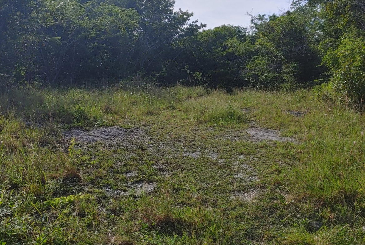 Thirteenth image of Lot 38 Unity Hall in Unity Hall, St. James, Jamaica - property is For Sale