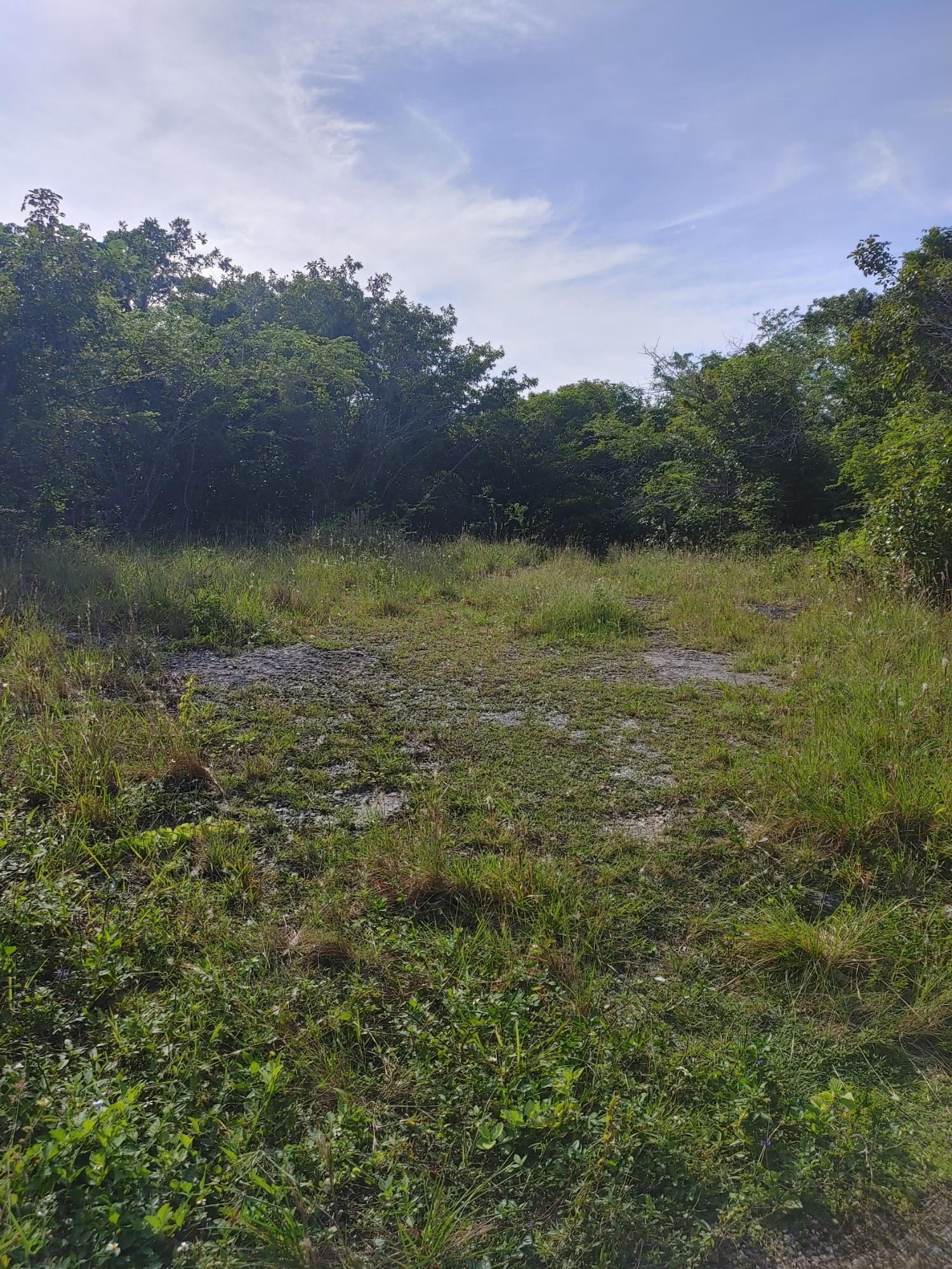 Stunning-0.7-Acre-Residential-Lot-for-Sale-in-Unity-Hall-Jamaica Thirteenth image of Lot 38 Unity Hall in Unity Hall, St. James, Jamaica - property is For Sale