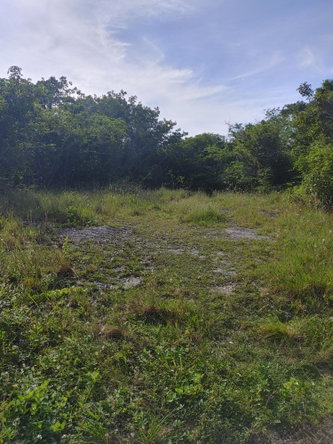 Thirteenth image of Lot 38 Unity Hall in Unity Hall, St. James, Jamaica - property is For Sale