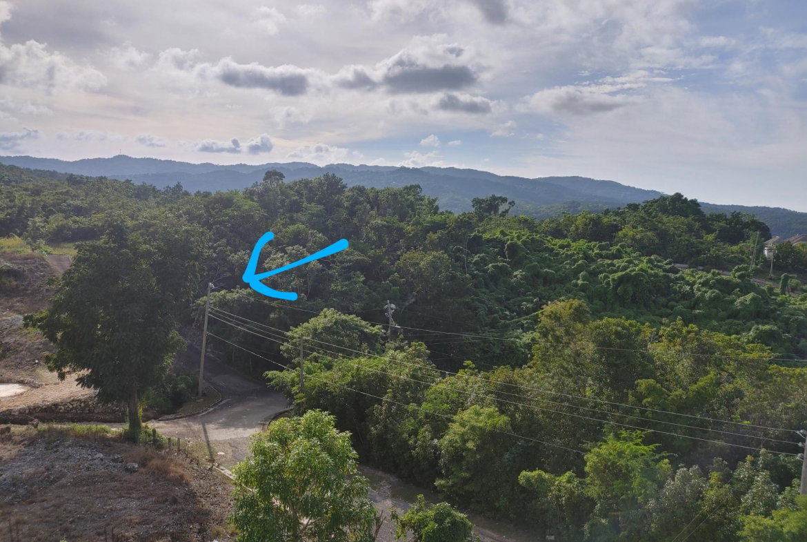 Third image of Lot 38 Unity Hall in Unity Hall, St. James, Jamaica - property is For Sale