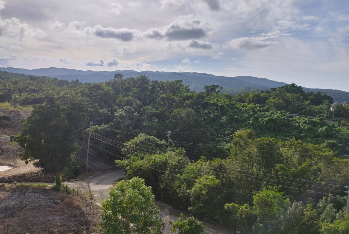 Fourth image of Lot 38 Unity Hall in Unity Hall, St. James, Jamaica - property is For Sale