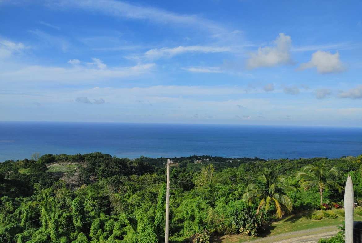 Fifth image of Lot 38 Unity Hall in Unity Hall, St. James, Jamaica - property is For Sale