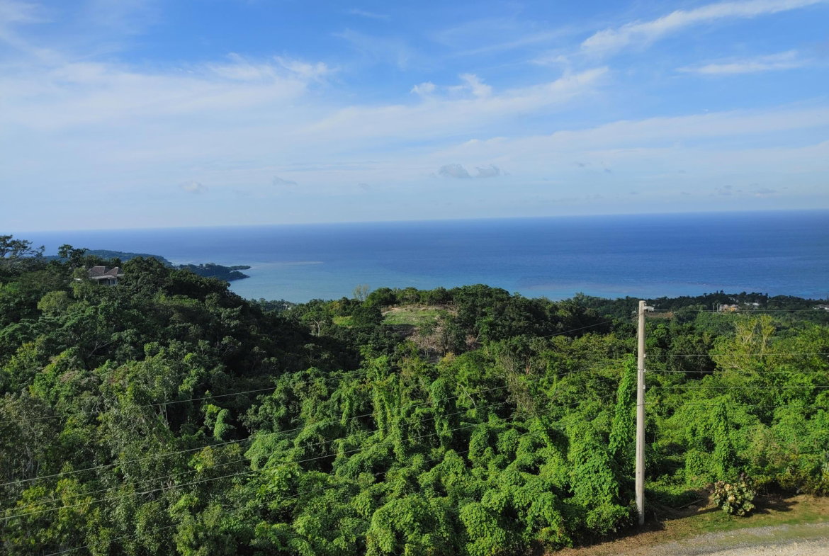 Sixth image of Lot 38 Unity Hall in Unity Hall, St. James, Jamaica - property is For Sale
