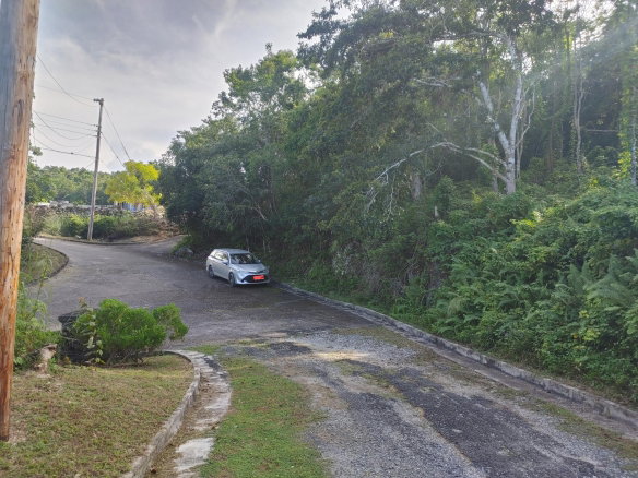 First image of Lot 38 Unity Hall in Unity Hall, St. James, Jamaica - property is For Sale