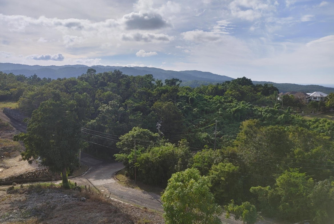 Eighth image of Lot 38 Unity Hall in Unity Hall, St. James, Jamaica - property is For Sale
