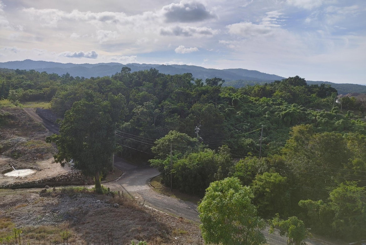 Ninth image of Lot 38 Unity Hall in Unity Hall, St. James, Jamaica - property is For Sale