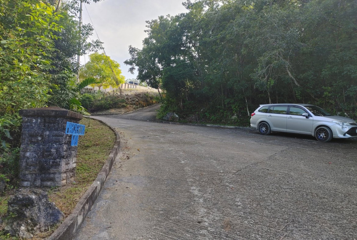 Tenth image of Lot 38 Unity Hall in Unity Hall, St. James, Jamaica - property is For Sale