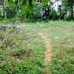 First image of Part Of- Seven Corners in Seven Corners, St. Elizabeth, Jamaica - property is For Sale