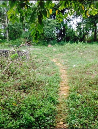 First image of Part Of- Seven Corners in Seven Corners, St. Elizabeth, Jamaica - property is For Sale