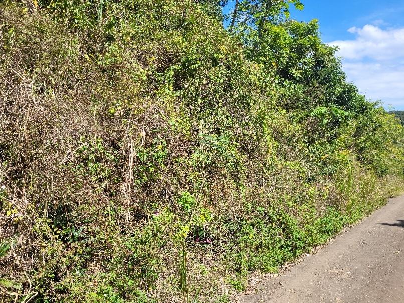 Third image of 9 Sundance Terrace, Marverl in Red Hills, St. Andrew, Jamaica - property is For Sale