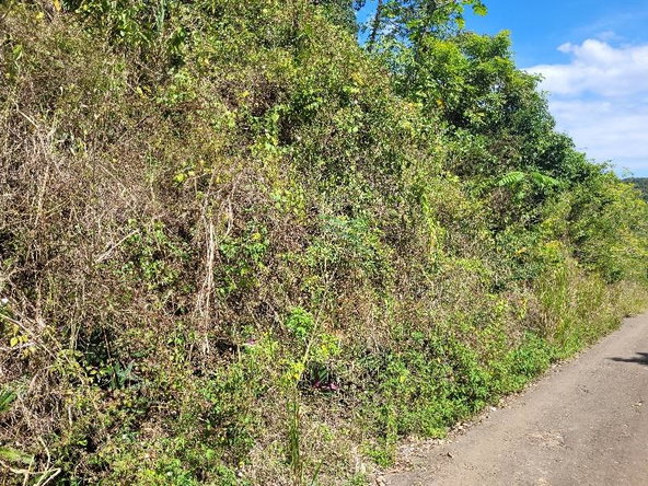 Third image of 9 Sundance Terrace, Marverl in Red Hills, St. Andrew, Jamaica - property is For Sale