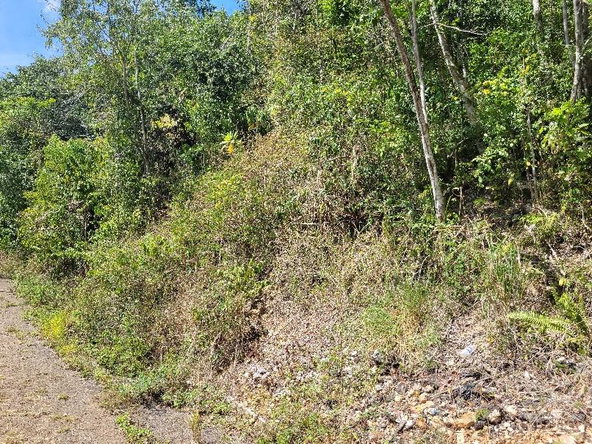 Fourth image of 9 Sundance Terrace, Marverl in Red Hills, St. Andrew, Jamaica - property is For Sale