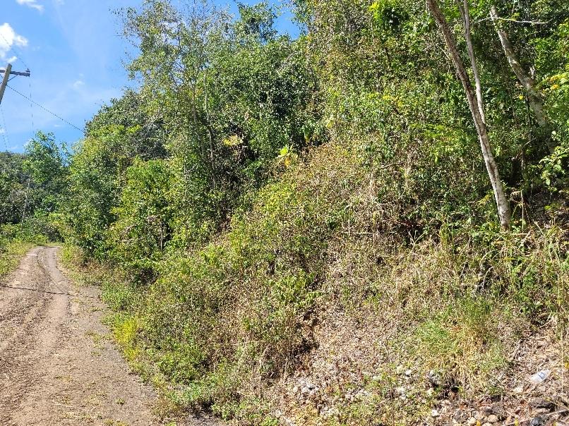 Fifth image of 9 Sundance Terrace, Marverl in Red Hills, St. Andrew, Jamaica - property is For Sale