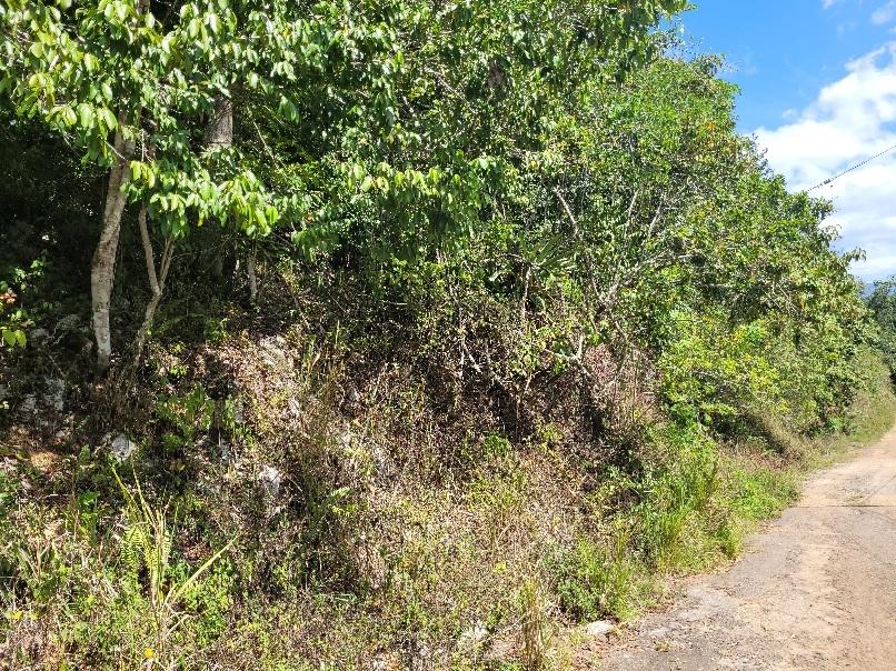 Sixth image of 9 Sundance Terrace, Marverl in Red Hills, St. Andrew, Jamaica - property is For Sale