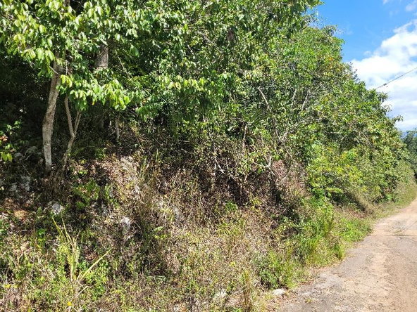 Sixth image of 9 Sundance Terrace, Marverl in Red Hills, St. Andrew, Jamaica - property is For Sale