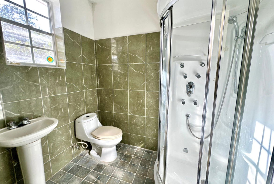 Fourteenth image of Lot1 Childermas, Lethe, in Childermas, St. James, Jamaica - property is For Sale