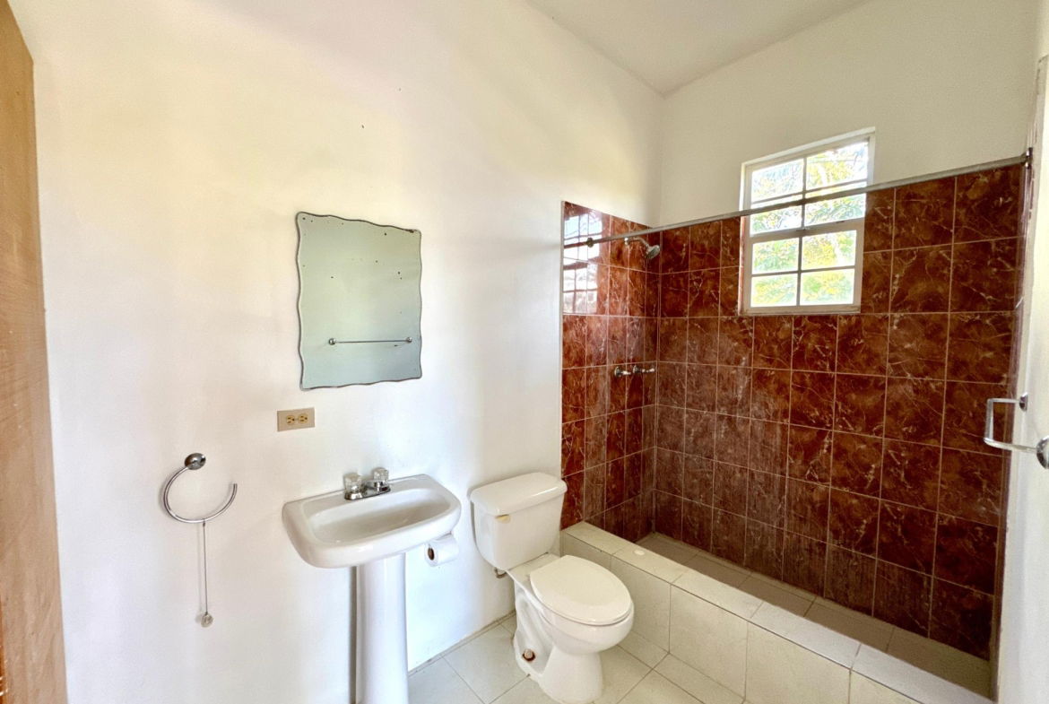 Eighteenth image of Lot1 Childermas, Lethe, in Childermas, St. James, Jamaica - property is For Sale