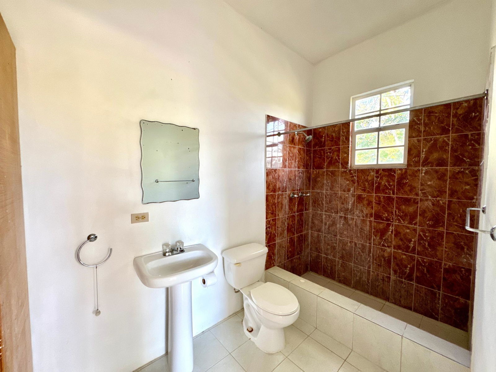 Eighteenth image of Lot1 Childermas, Lethe, in Childermas, St. James, Jamaica - property is For Sale