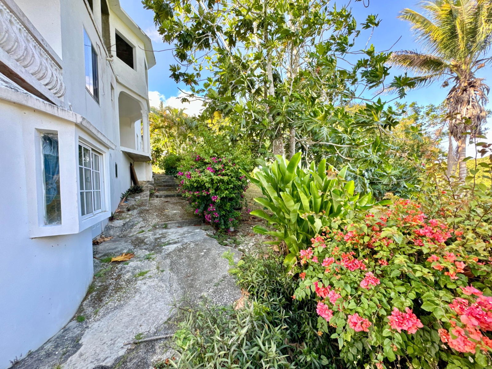 Third image of Lot1 Childermas, Lethe, in Childermas, St. James, Jamaica - property is For Sale