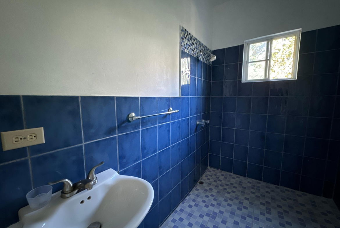 Twenty-Third image of Lot1 Childermas, Lethe, in Childermas, St. James, Jamaica - property is For Sale