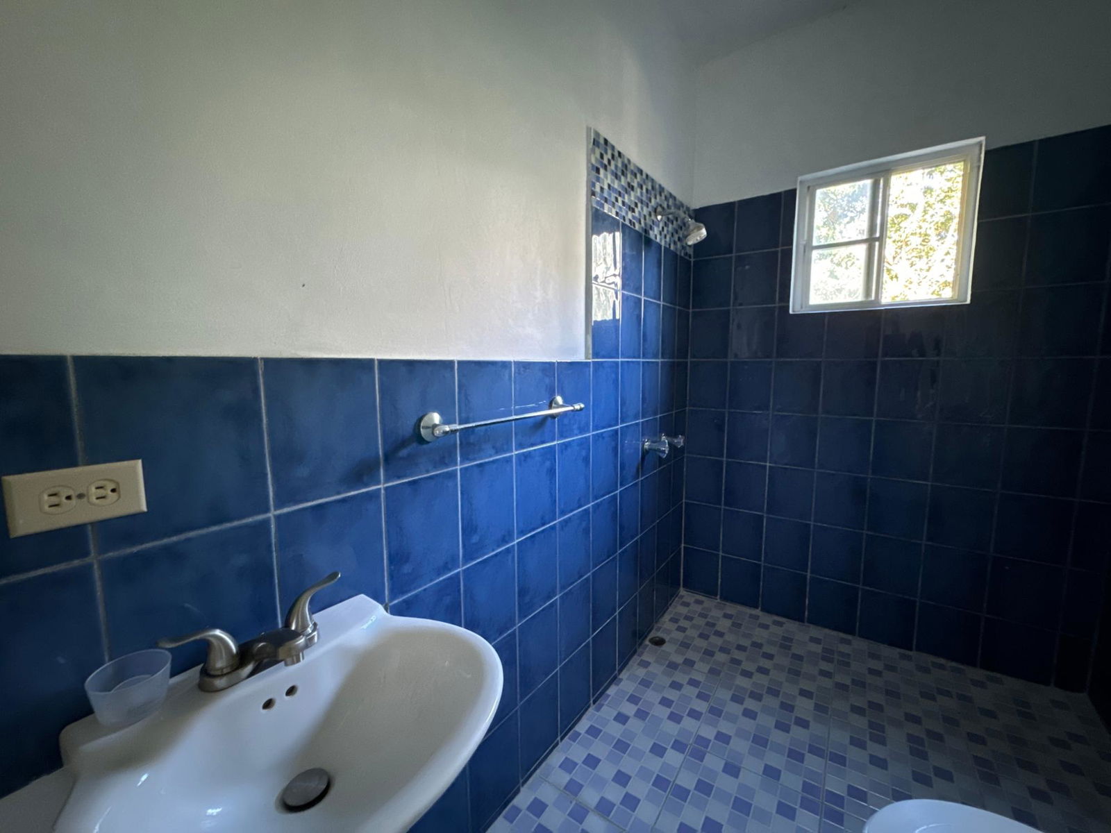 Twenty-Third image of Lot1 Childermas, Lethe, in Childermas, St. James, Jamaica - property is For Sale