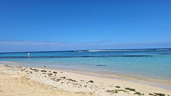 Ninth image of 40 Mammee Bay Estate in Mammee Bay Estate, St. Ann, Jamaica - property is For Rent