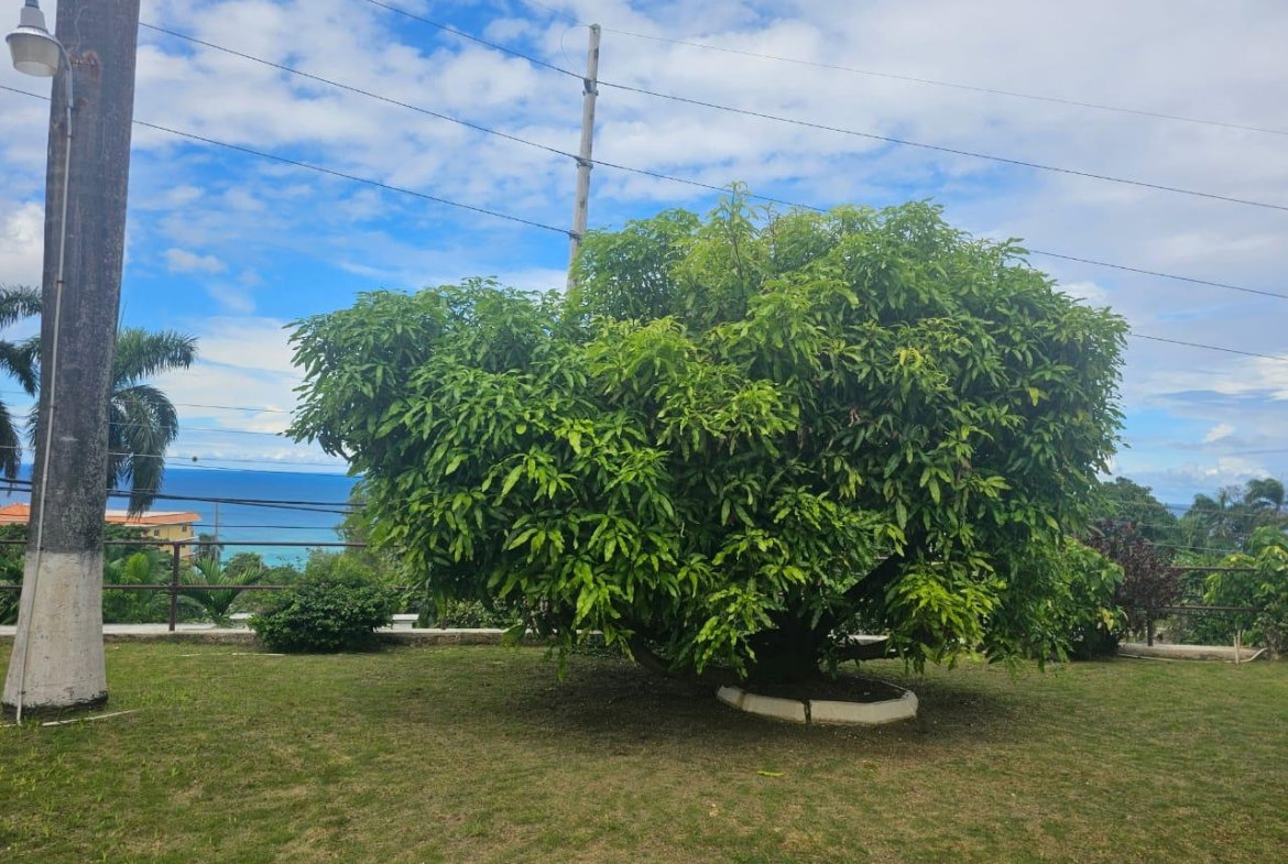 Nineteenth image of 36 Leaders Avenue Montego ba in Montego Bay, St. James, Jamaica - property is For Sale