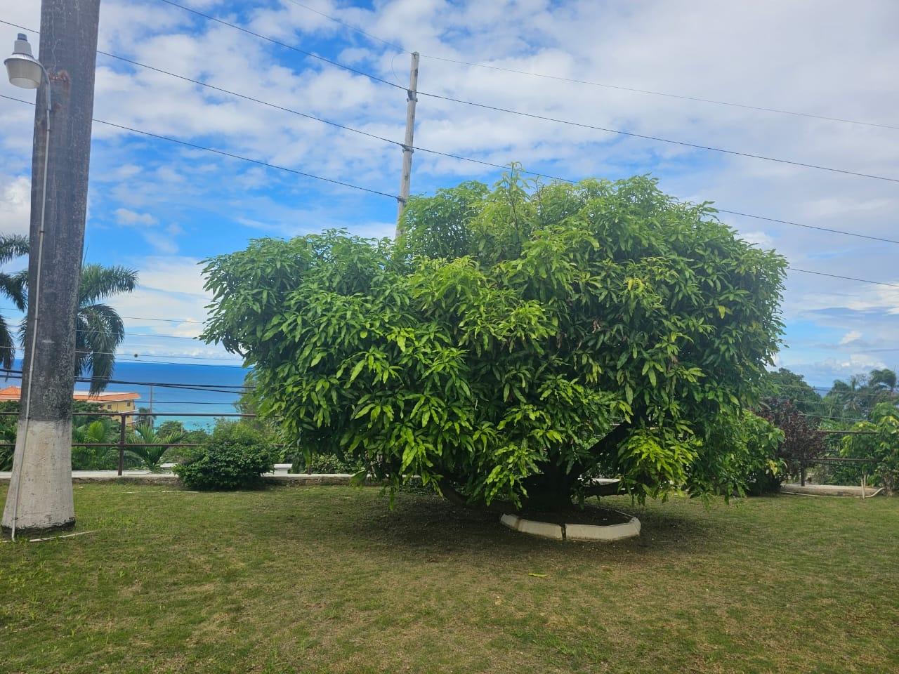 Stunning-12-Bedroom-Villa-for-Sale-in-Montego-Bay-Jamaica Nineteenth image of 36 Leaders Avenue Montego ba in Montego Bay, St. James, Jamaica - property is For Sale