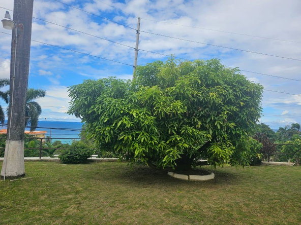 Nineteenth image of 36 Leaders Avenue Montego ba in Montego Bay, St. James, Jamaica - property is For Sale