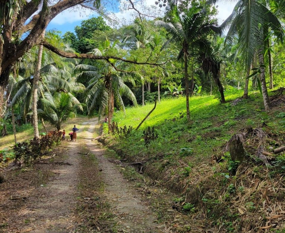 Second image of Lot-14 Brimmer Hall, Port Maria, in Brimmer Hall, St. Mary, Jamaica - property is For Sale