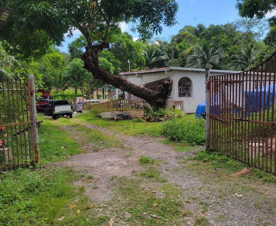 Fifth image of Lot-14 Brimmer Hall, Port Maria, in Brimmer Hall, St. Mary, Jamaica - property is For Sale