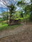 First image of Lot-14 Brimmer Hall, Port Maria, in Brimmer Hall, St. Mary, Jamaica - property is For Sale
