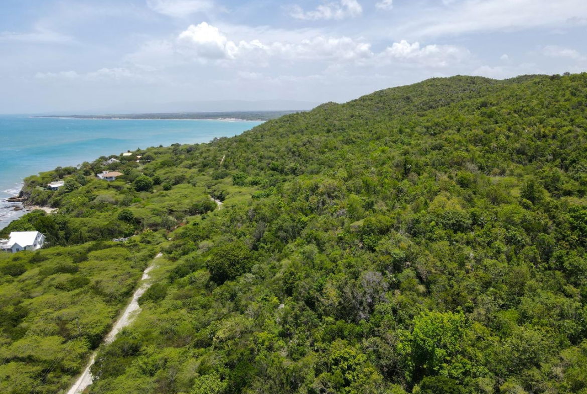 Twelfth image of Lot 3d Fort Charles, Treasure be in Treasure Beach, St. Elizabeth, Jamaica - property is For Sale