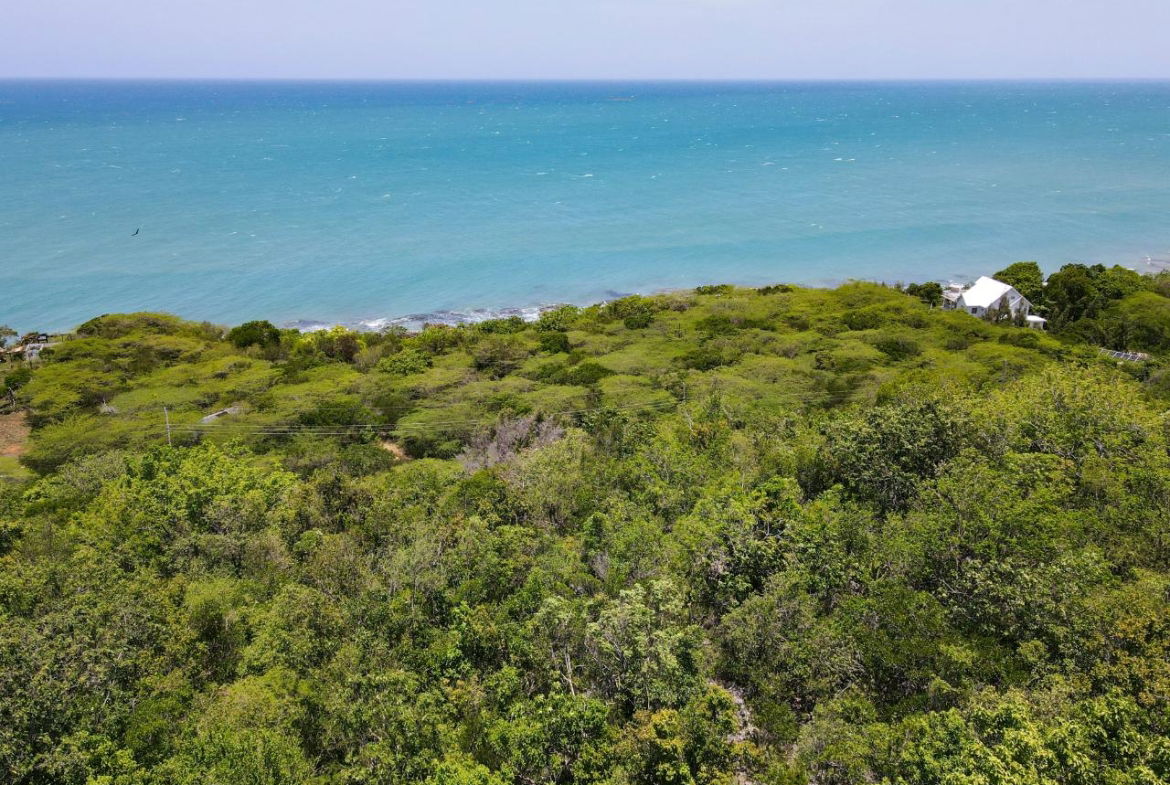 Fifteenth image of Lot 3d Fort Charles, Treasure be in Treasure Beach, St. Elizabeth, Jamaica - property is For Sale
