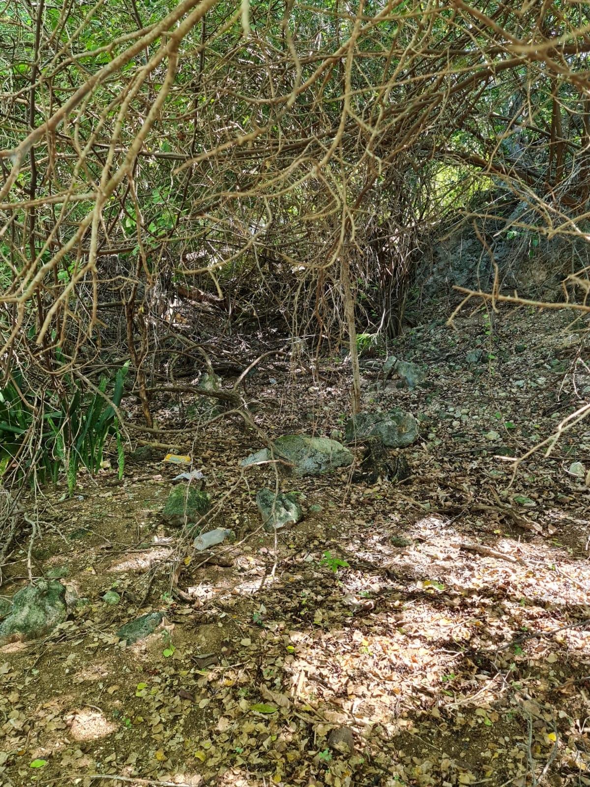 Stunning-2-Acre-Residential-Lot-for-Sale-in-Treasure-Beach-Jamaica Eighteenth image of Lot 3d Fort Charles, Treasure be in Treasure Beach, St. Elizabeth, Jamaica - property is For Sale