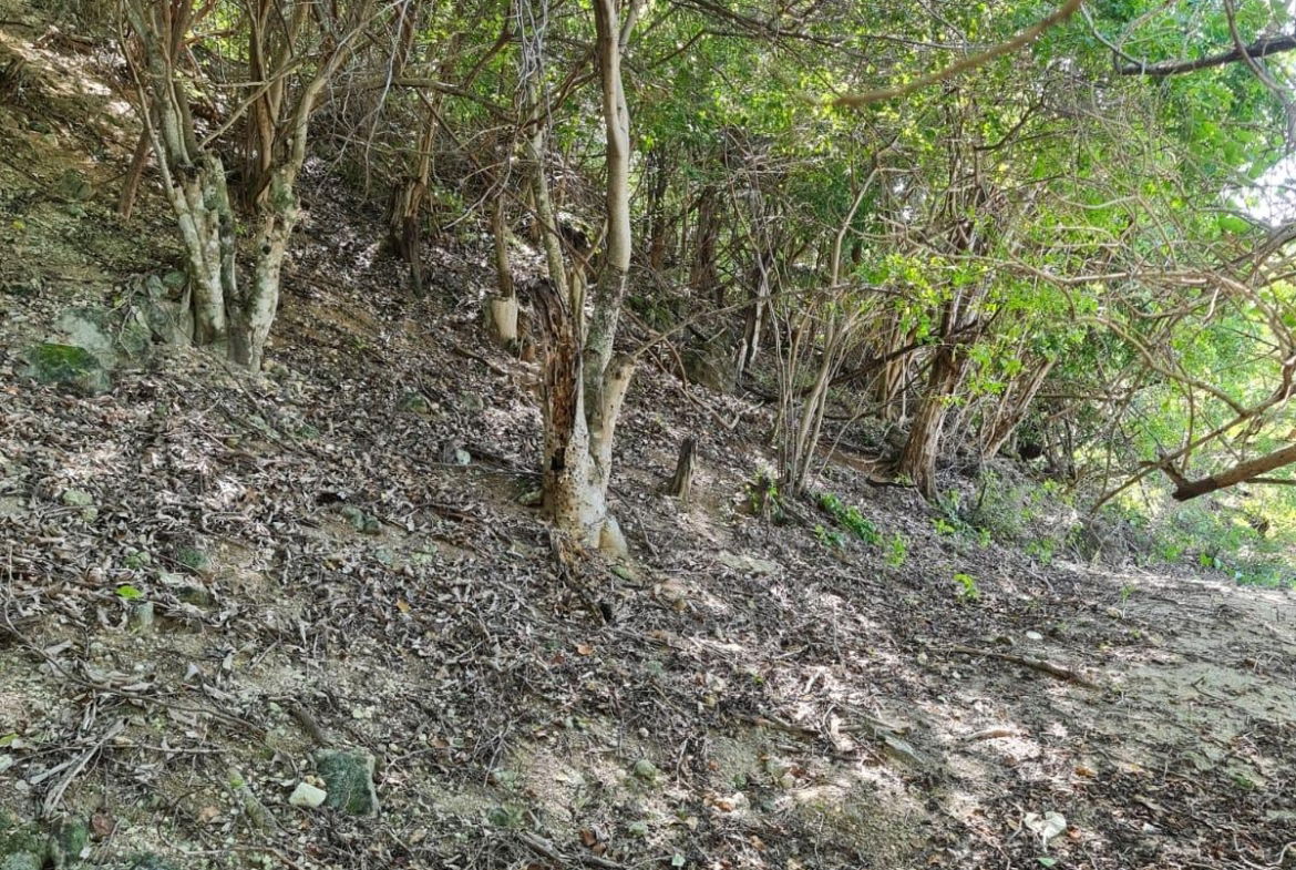 Twentieth image of Lot 3d Fort Charles, Treasure be in Treasure Beach, St. Elizabeth, Jamaica - property is For Sale