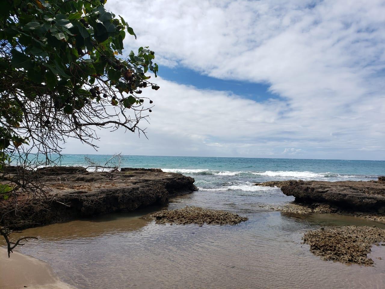 Stunning-2-Acre-Residential-Lot-for-Sale-in-Treasure-Beach-Jamaica Fourth image of Lot 3d Fort Charles, Treasure be in Treasure Beach, St. Elizabeth, Jamaica - property is For Sale