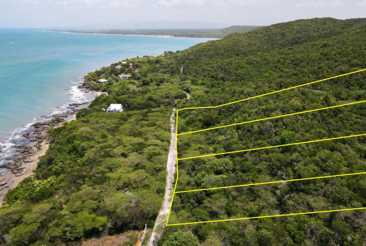 Seventh image of Lot 3d Fort Charles, Treasure be in Treasure Beach, St. Elizabeth, Jamaica - property is For Sale