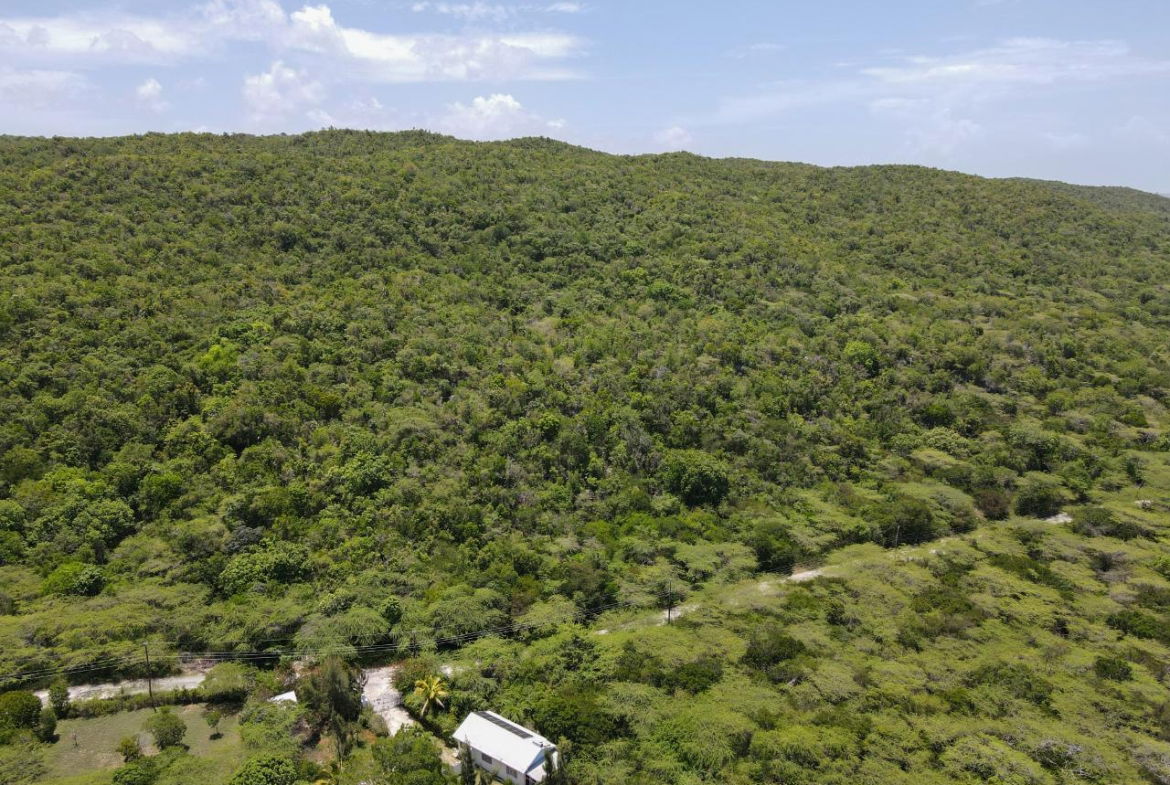 Tenth image of Lot 3d Fort Charles, Treasure be in Treasure Beach, St. Elizabeth, Jamaica - property is For Sale