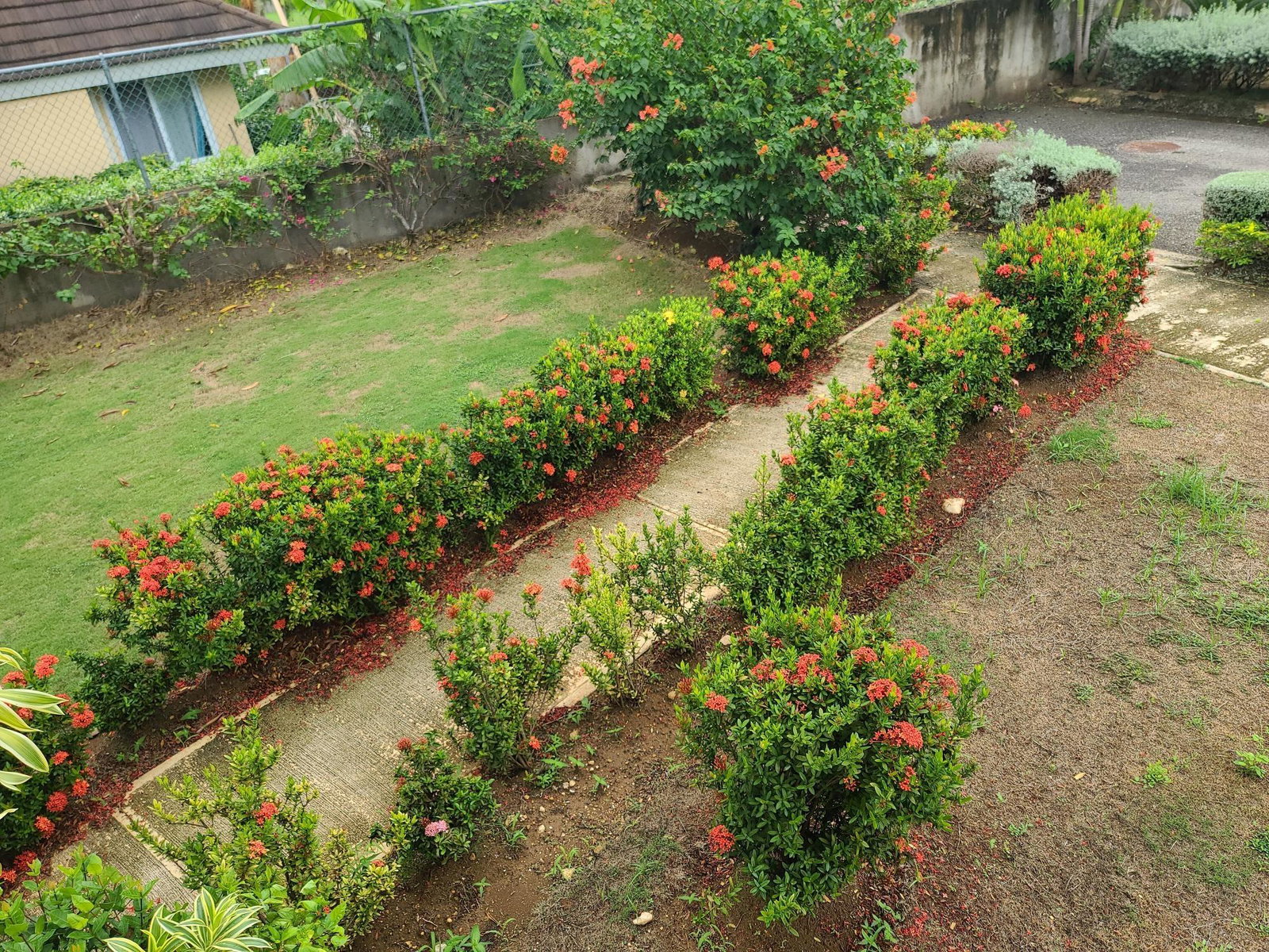 Stunning-2-Bedroom-Apartment-for-Sale-in-Richmond-Fern-Court-St.-Ann Twenty-Sixth image of W202 Richmond Fern Court in Ocho Rios, St. Ann, Jamaica - property is For Sale
