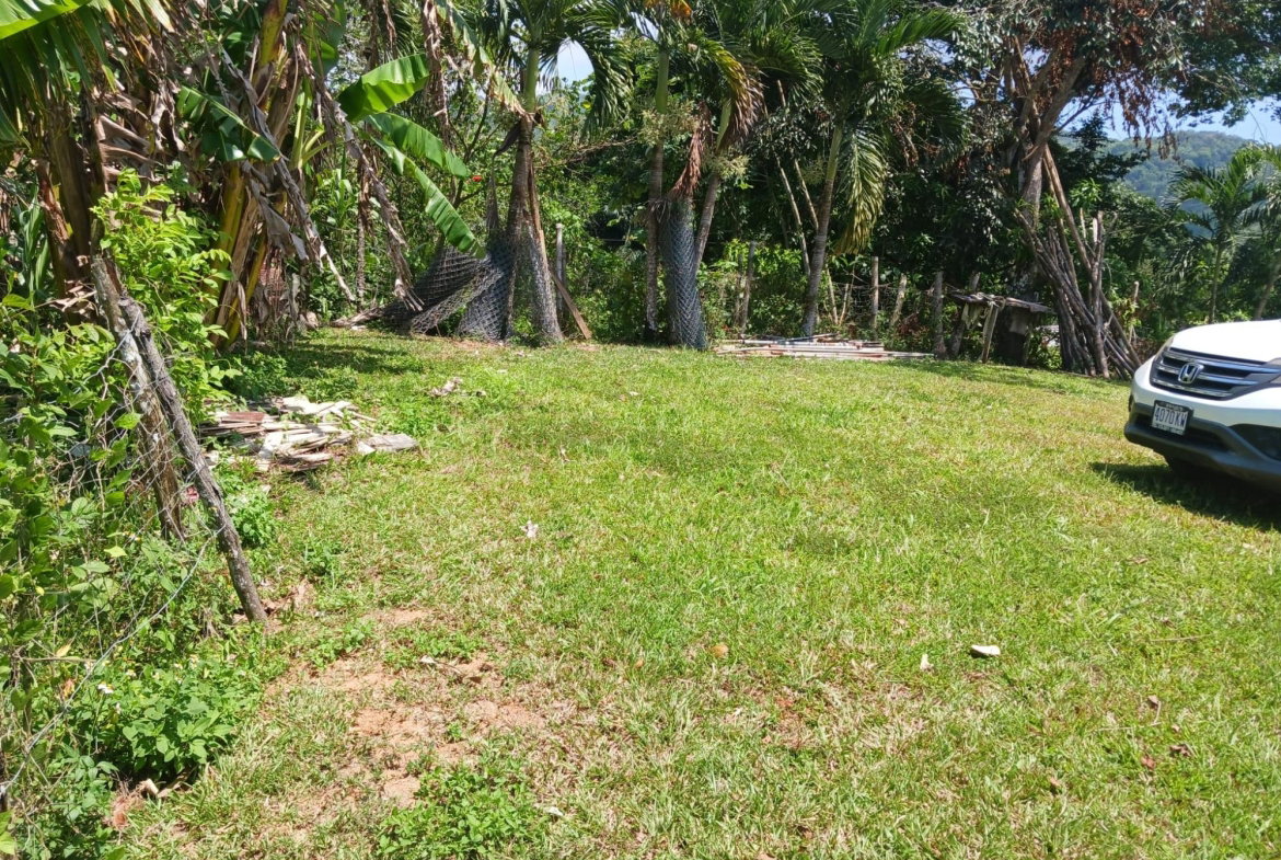 Fourth image of Golden River in Red Hills, St. Andrew, Jamaica - property is For Sale