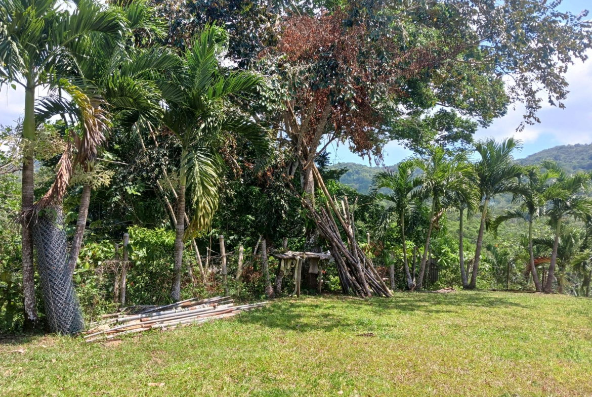 Fifth image of Golden River in Red Hills, St. Andrew, Jamaica - property is For Sale