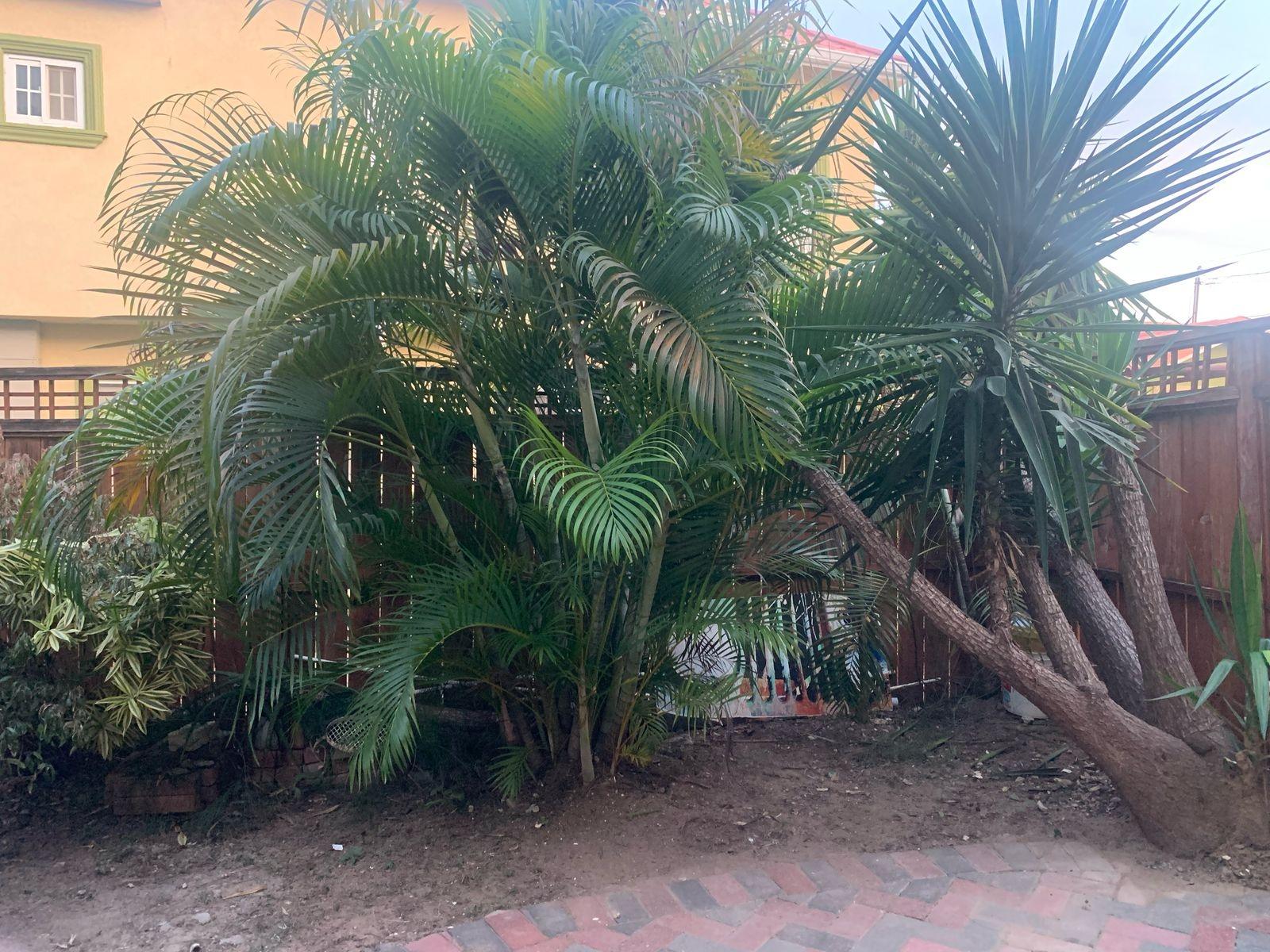 Fourteenth image of 13 Portmore Country Club in Portmore Country Club, St. Catherine, Jamaica - property is For Rent